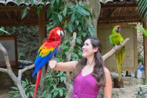 kate storm holding a scarlet macaw at macaw mountain, one of the best things to do in copan honduras
